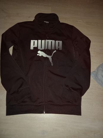 Veste puma