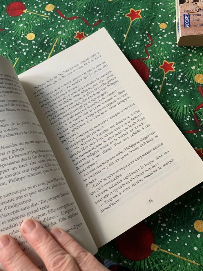 Rani roman - photo numéro 7