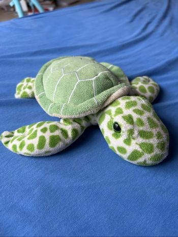Peluche tortue nature planet