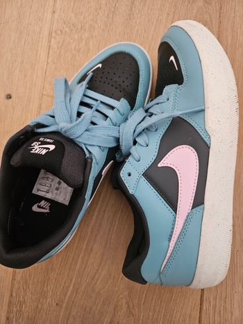 Nike sb force
