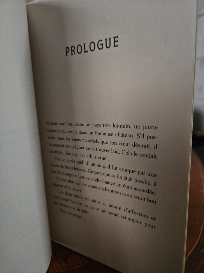 Livre disney méchant - photo numéro 3