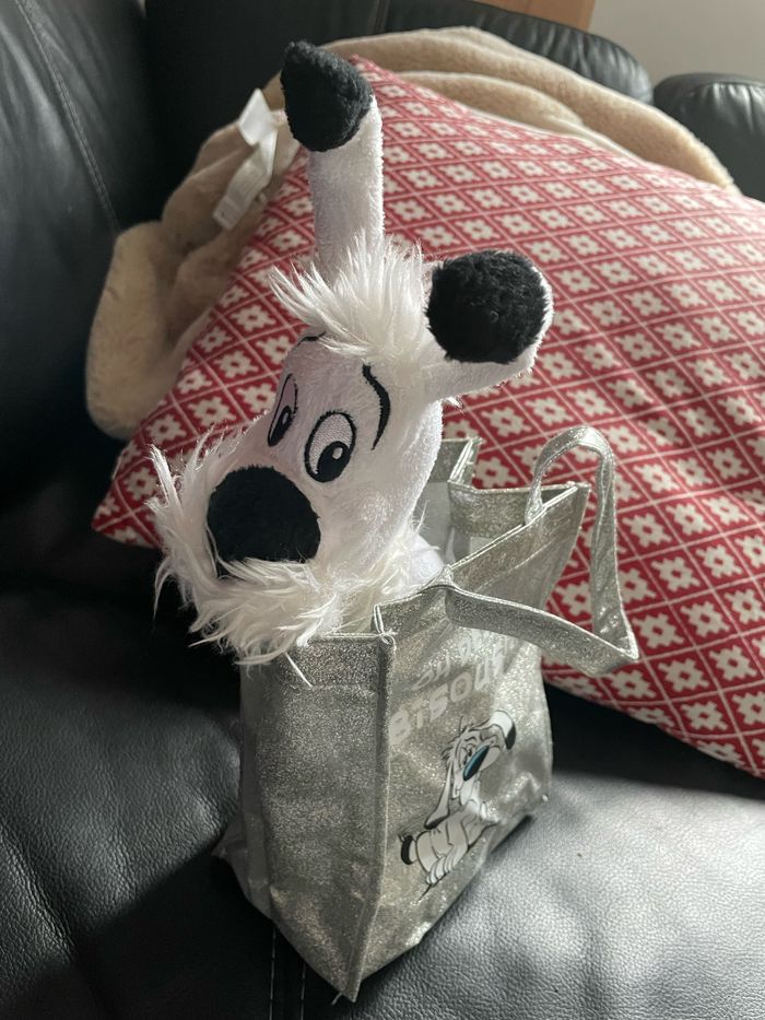 Idefix dans son petit sac - photo numéro 3