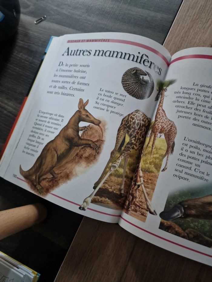 Livre Ma grande encyclopédie - photo numéro 11