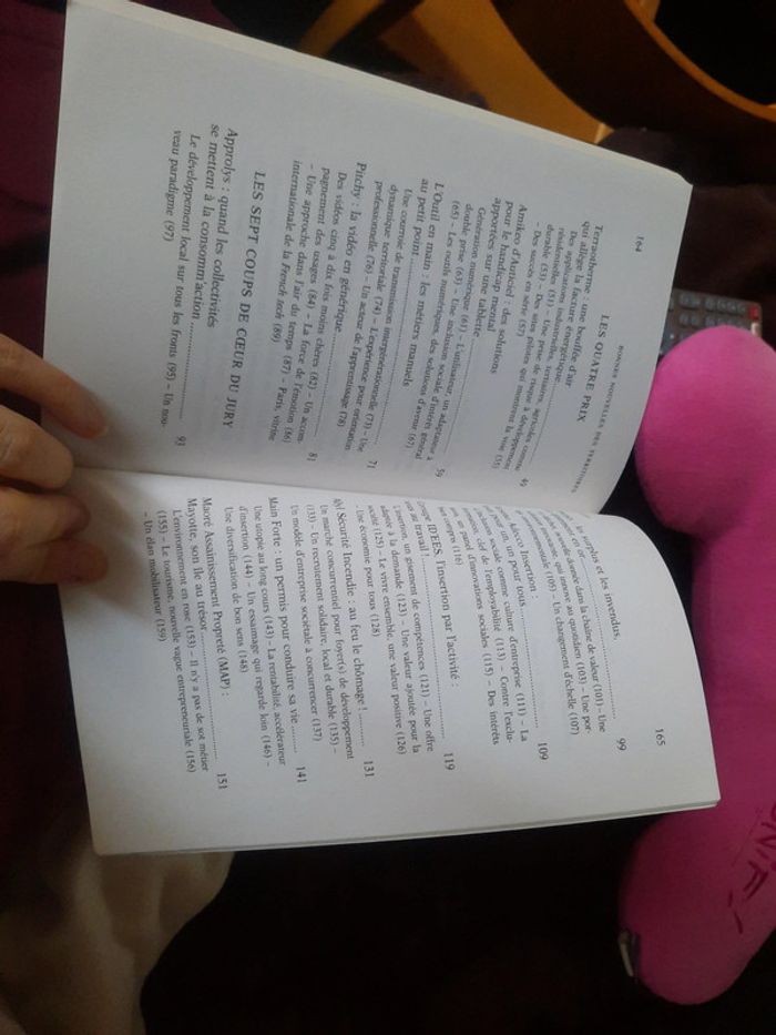 Livre bonnes nouvelles des territoires - photo numéro 7