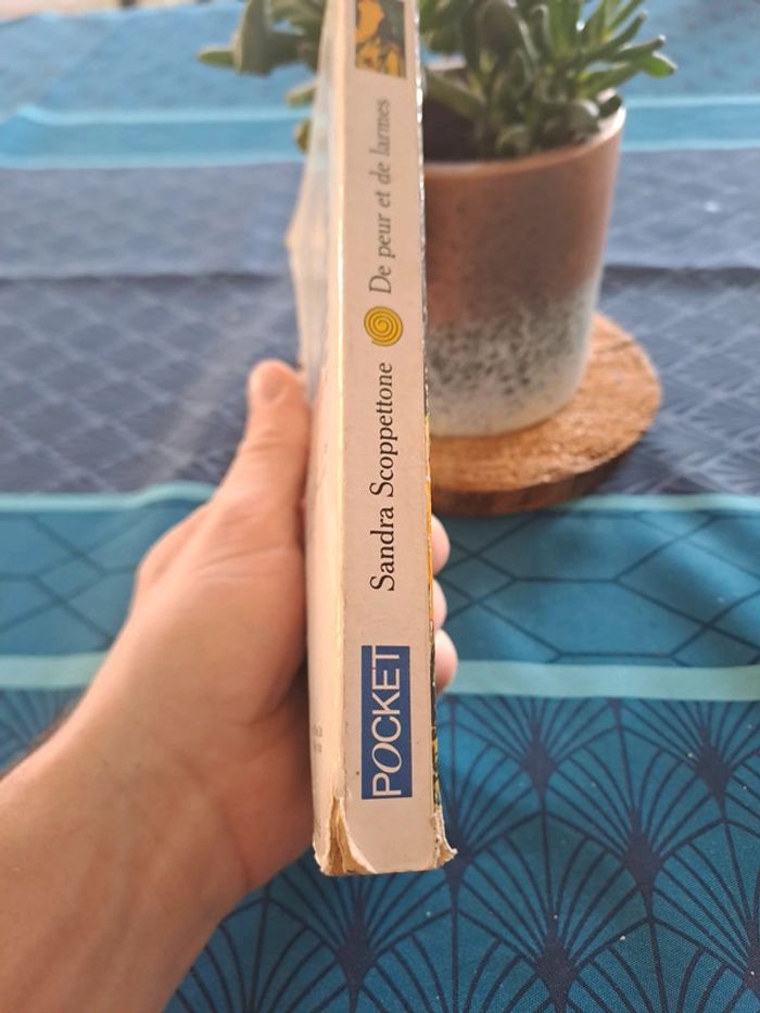 Livre De Peur et de Larmes, Sandra Scoppettone - photo numéro 3