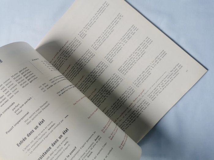 La grammaire de l'allemand moderne en 50 tableaux avec exercices d'application - photo numéro 3