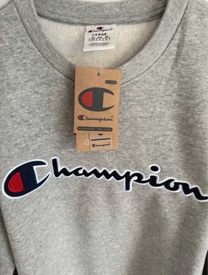 Sweat capuche champion