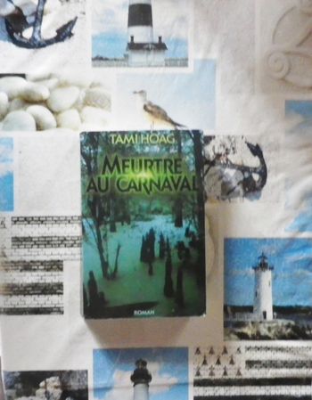 Meurtre au carnaval de Tami Hoag