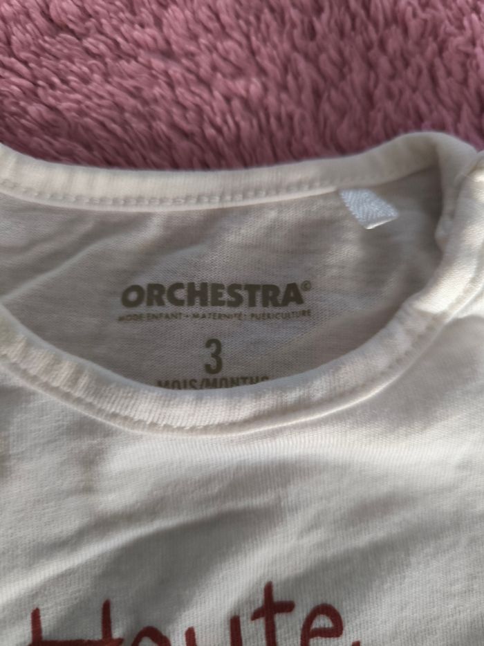 Deux petits pulls manches longues - photo numéro 2