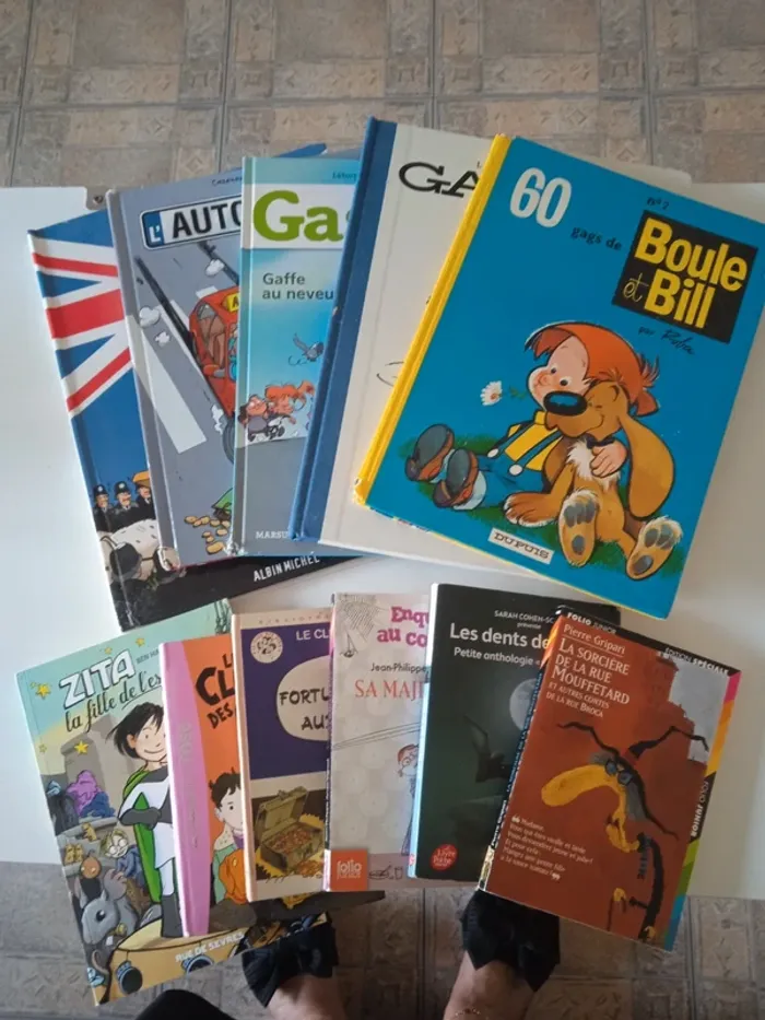 Lot livres et BD
