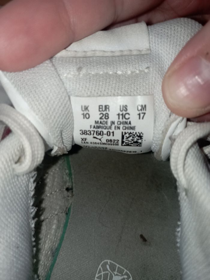 Basket - photo numéro 5