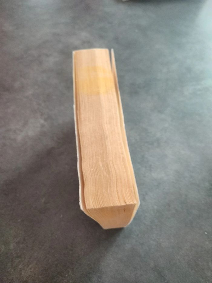 Emilie Zola Germinal - photo numéro 3