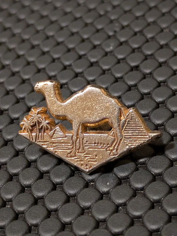 Pin's cigarette Camel Arthus Bertrand