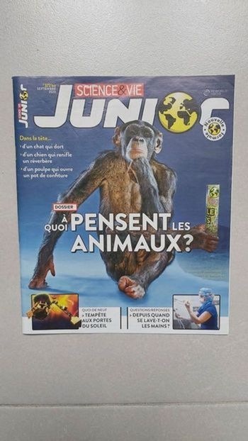 Science et vie junior