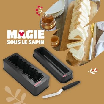 Offre moule bûche sapin guy demarle