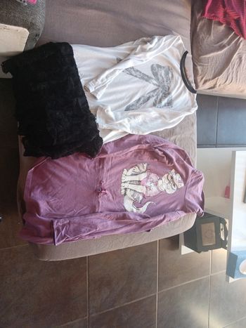 Lot 2 tuniques