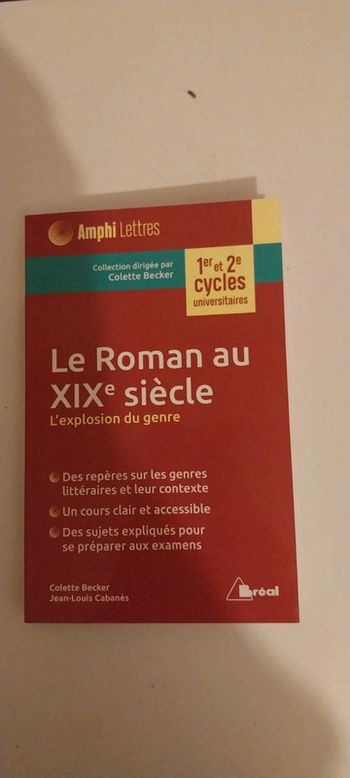 Le Roman Au Xixe Siècle - L'exploration Du Genre