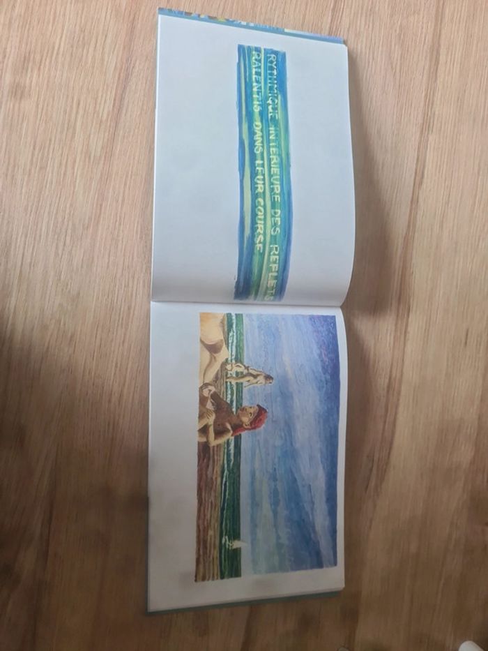 Les pieds dans l'eau - photo numéro 3