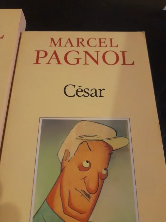 6 livres Marcel Pagnol - photo numéro 4