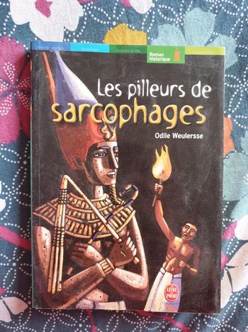 Les pilleurs de sarcophages - Odile Weulersse