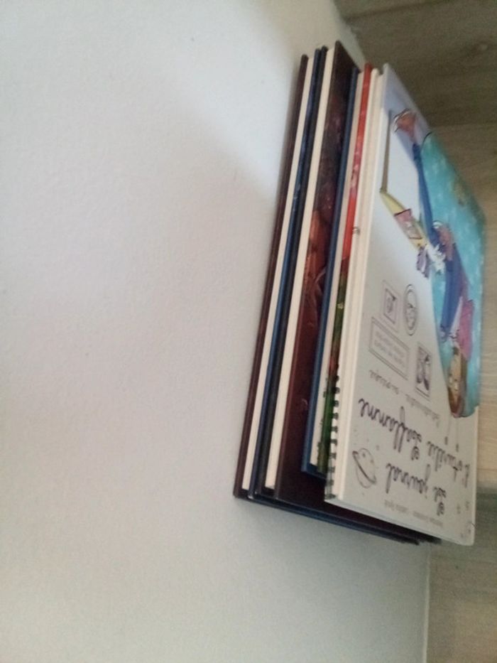 Lot de 4 grandes bd - photo numéro 6