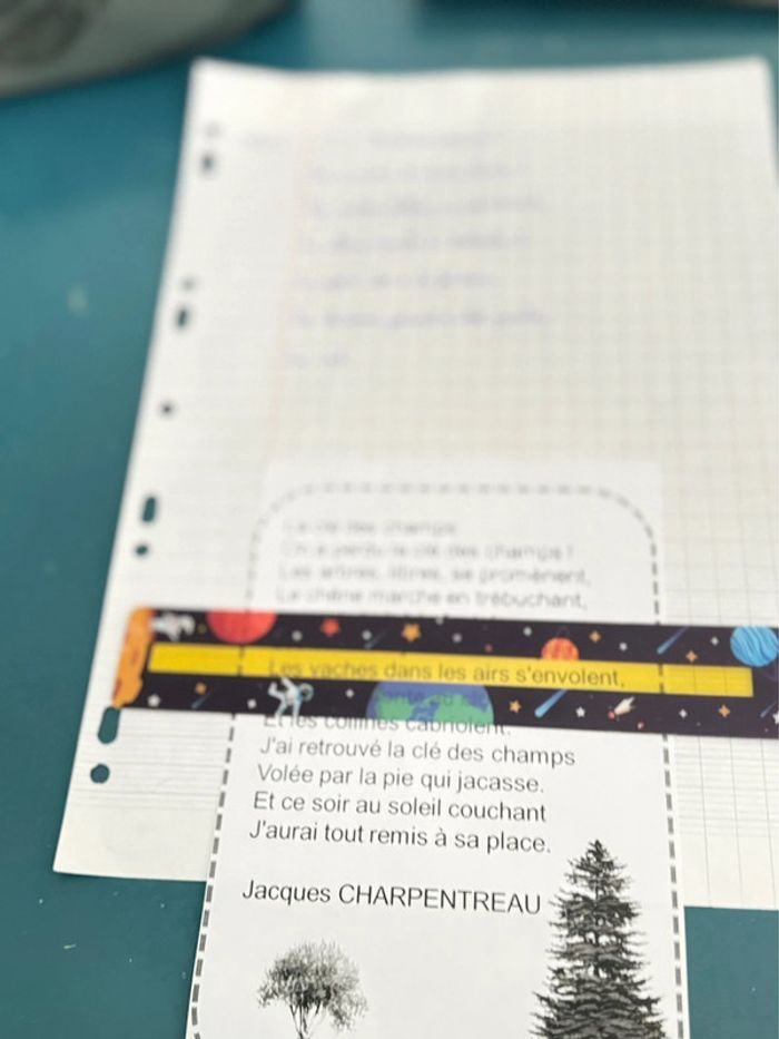 lot de 8 bandelettes de lecture - Motifs Garçon - photo numéro 13