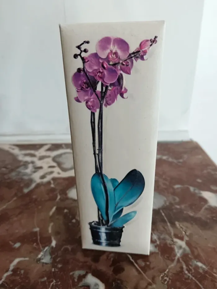 Larousse orchidées