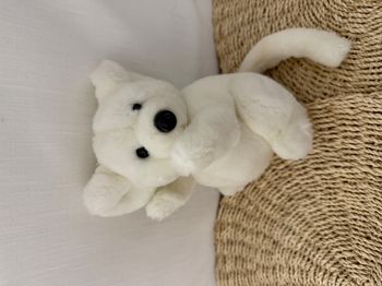 doudou souris blanche