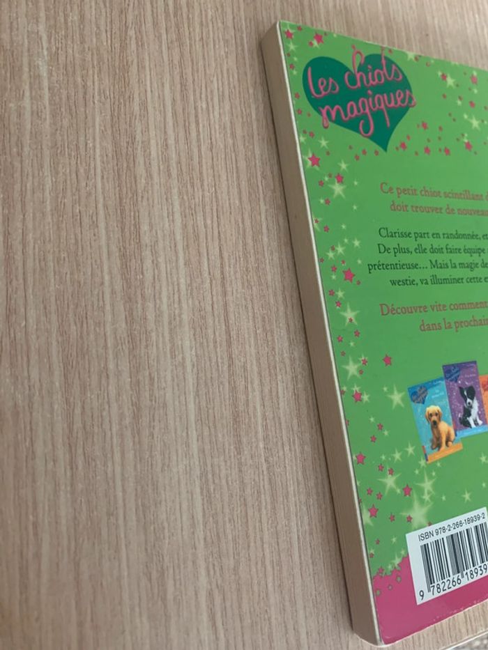 Livre les chiots magiques - photo numéro 3