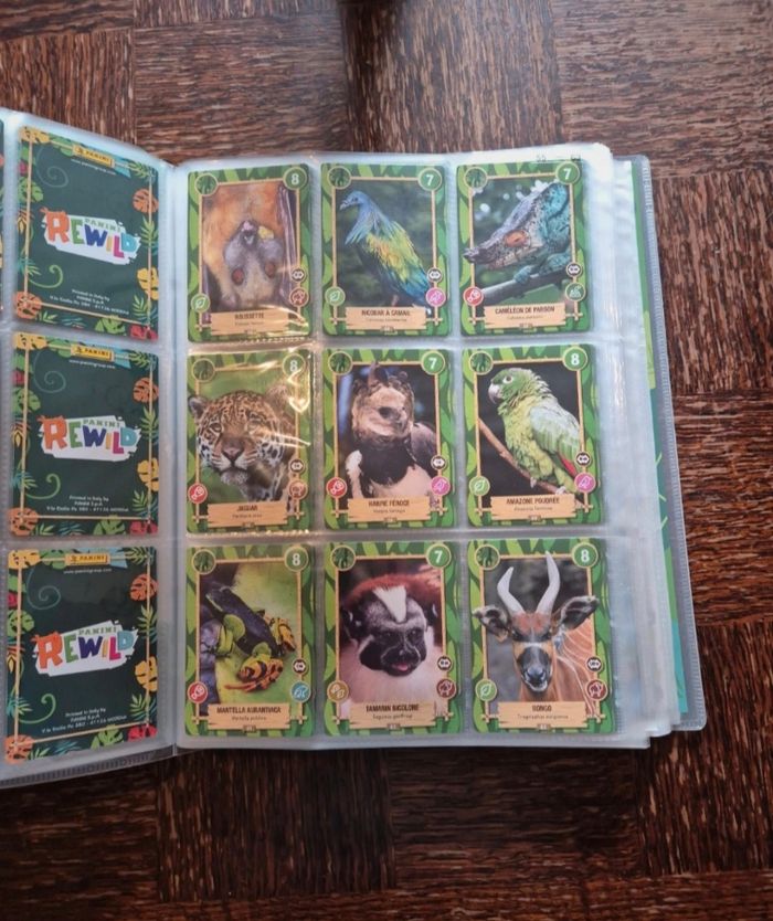 Rewild panini - photo numéro 5
