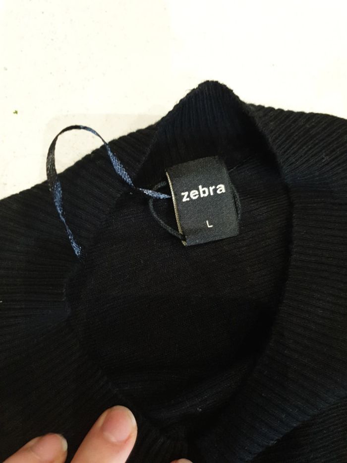 Robe zebra - photo numéro 2