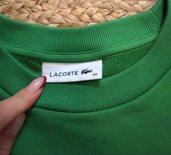 Sweat Lacoste