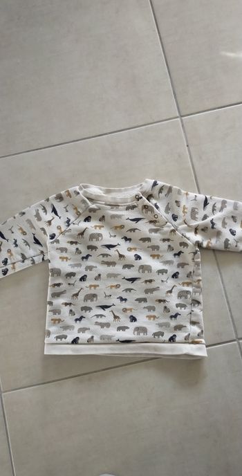 Pull animaux