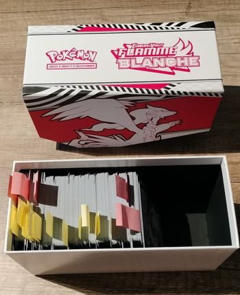 Cartes Pokémon ev10.5 flamme blanche