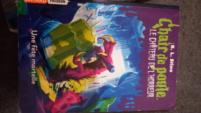 Chair de poule - photo numéro 2