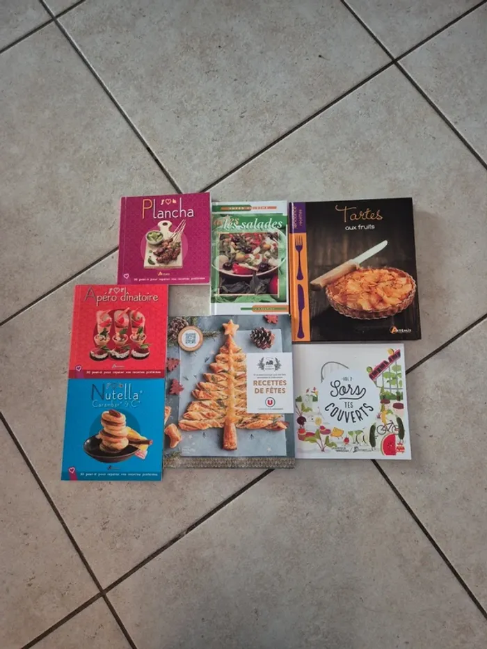 6 livres de recettes neufs