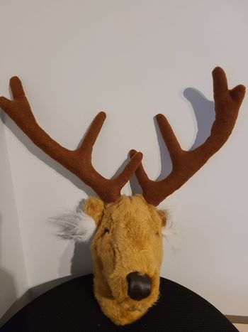 tête de cerf