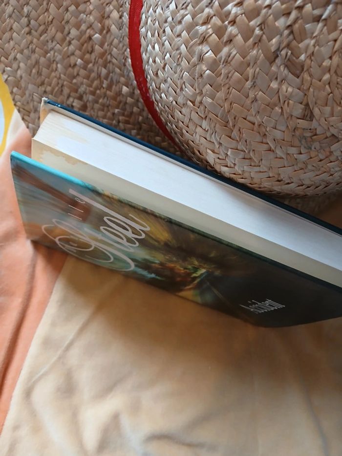 Accident - photo numéro 3