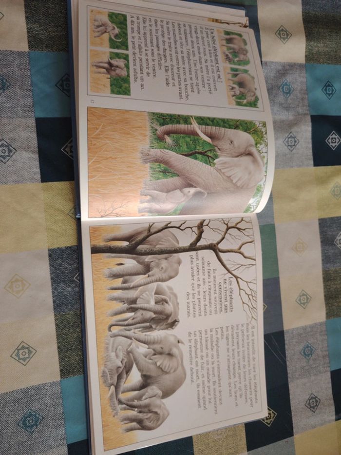 Livre sur l'éléphant - photo numéro 8