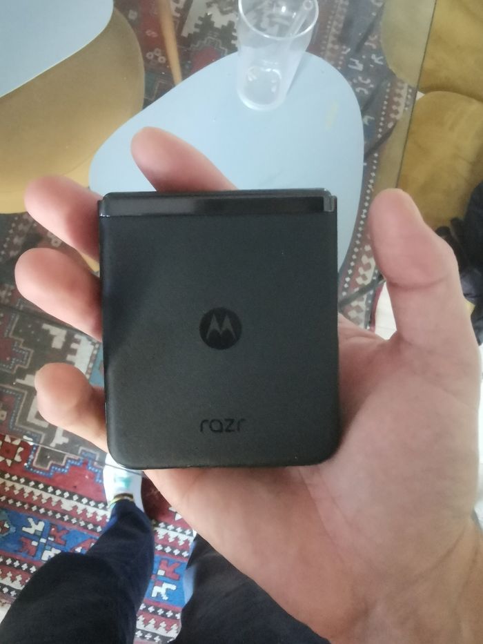 Bckdld - photo numéro 3