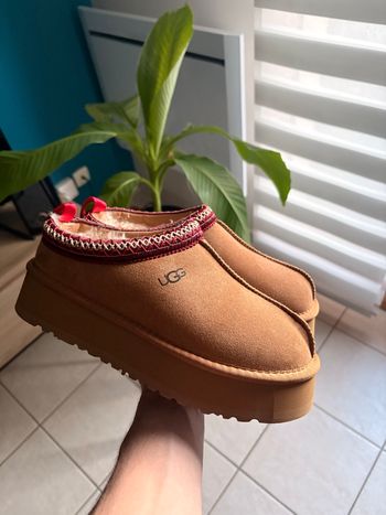Ugg tasman 