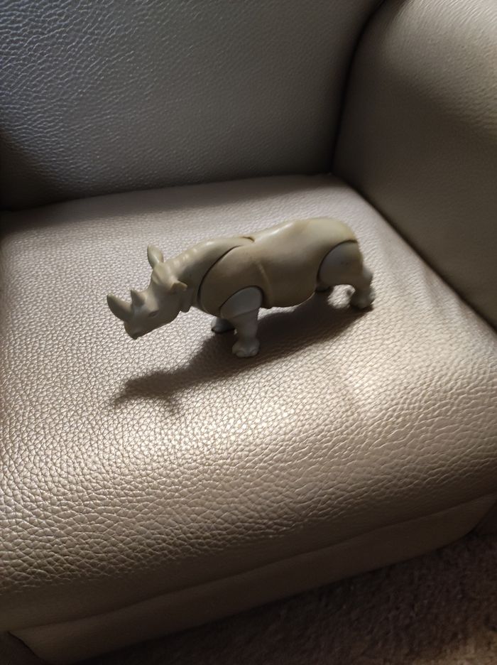 rhinocéros - photo numéro 2