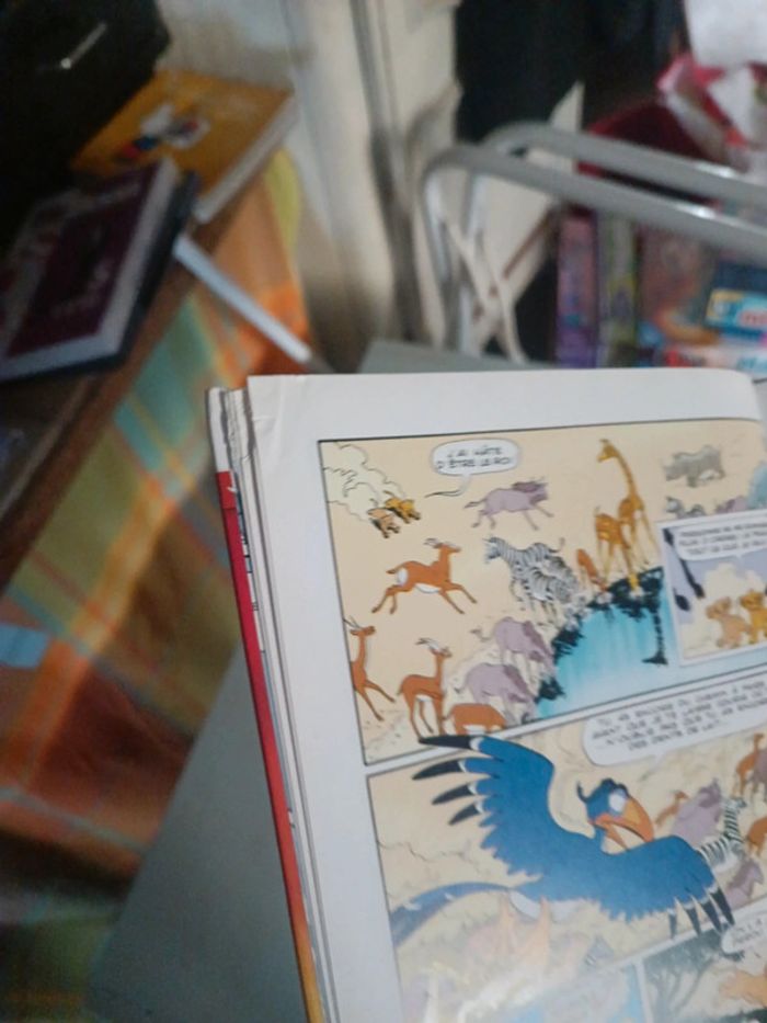 Bd roi lion - photo numéro 2