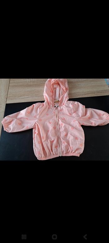 Veste