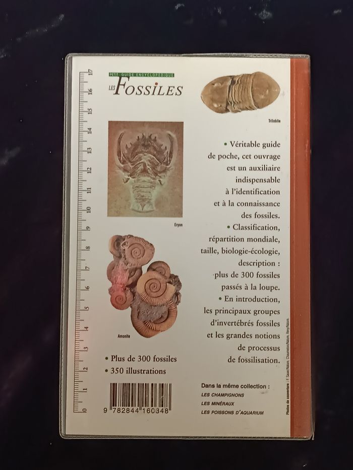 Les fossiles guide encyclopédique - photo numéro 4