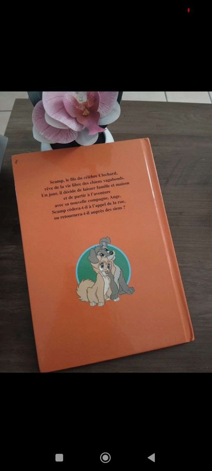 Livre Disney - photo numéro 2