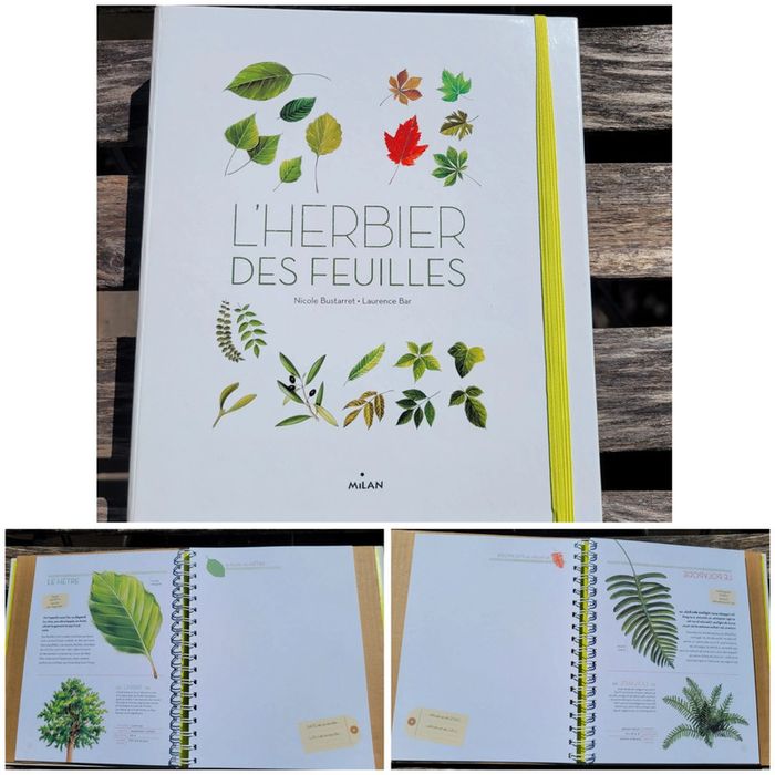 Très bel herbier Milan : L'Herbier des feuilles 🍃 72
