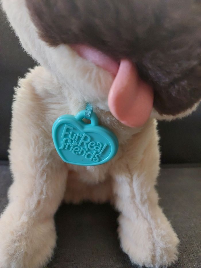 Chien interactif - photo numéro 3