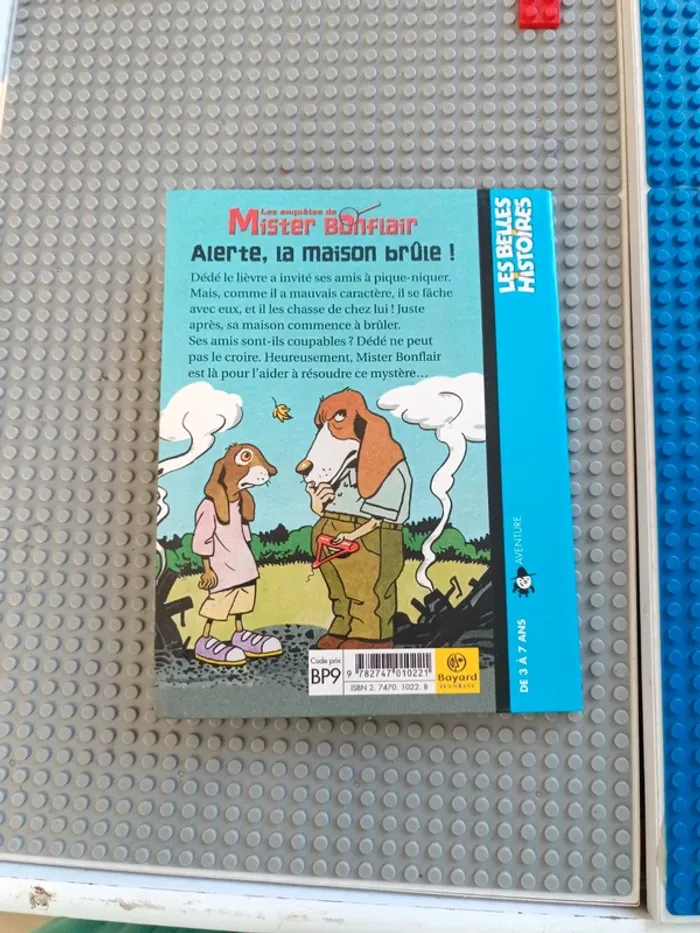 Mister Bonflair - photo numéro 3