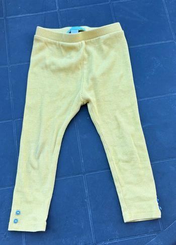 Legging